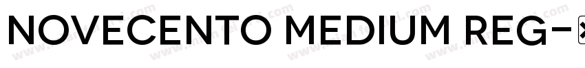 Novecento Medium Reg字体转换